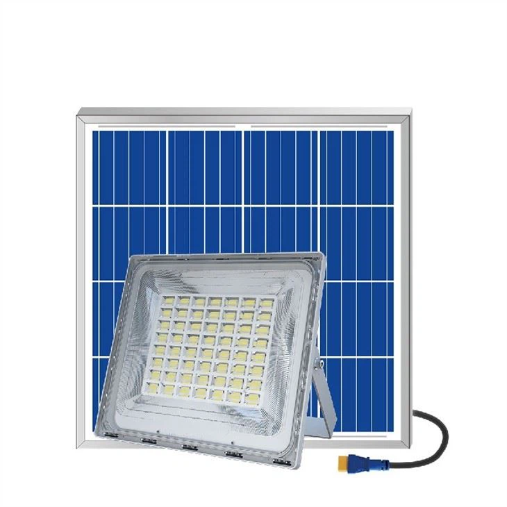 Blue Carbon Solar Flood Light WaWa Light5.0
